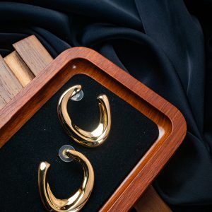 U-Shaped Earrings